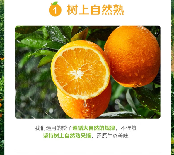 1-23060912364S07.png